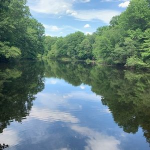 Meet your Posher, Nick